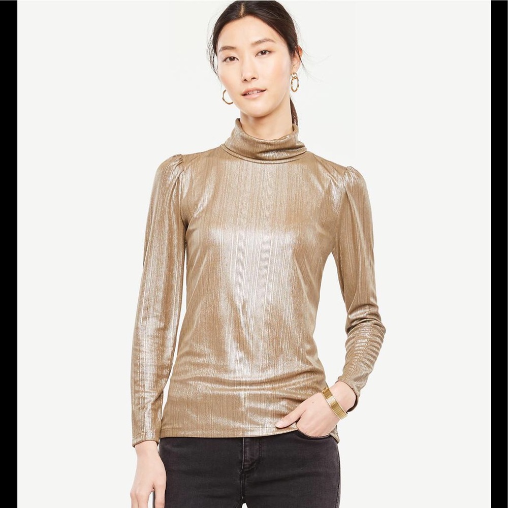 Ann Taylor metallic blouse